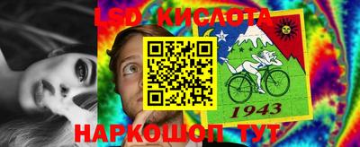 прущие грибы Заволжье