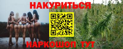 крисы Заводоуковск