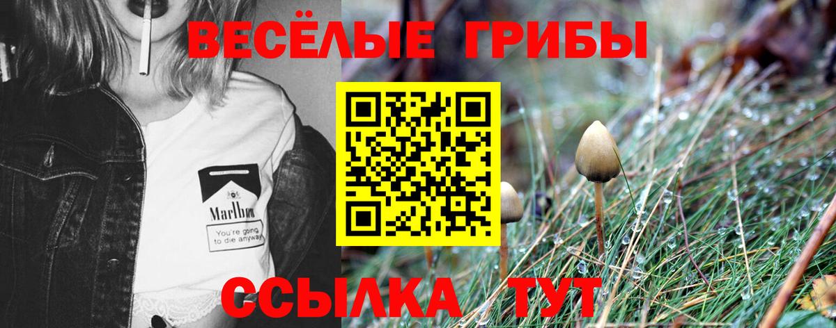 Лыткарино  дарнет шоп  Псилоцибиновые грибы Magic Shrooms  Вход с VPN  Галлюциногенные грибы прущие грибы 