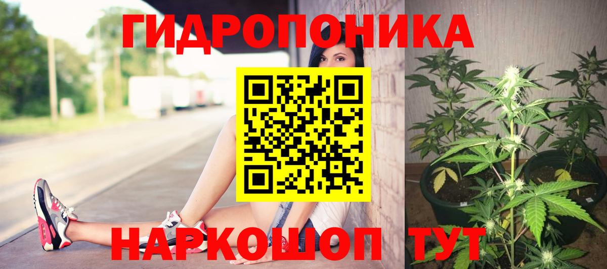 Канабис марихуана Лыткарино